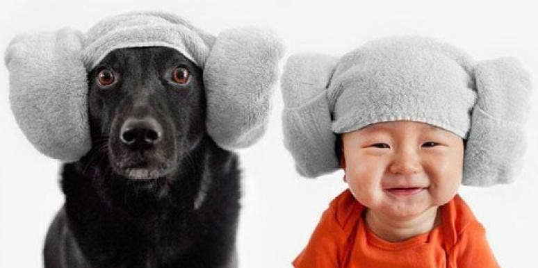 dog baby dog baby