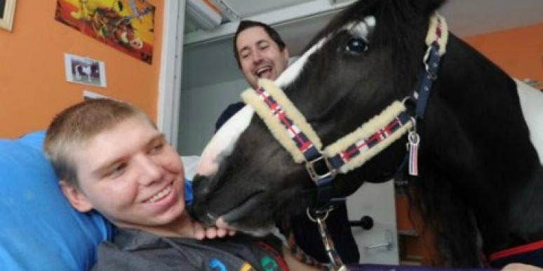 man-horse man-horse