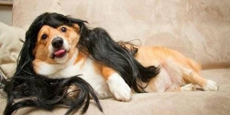 Love: 9 Supremely Awkward Animals Trying To Pick You Up Love: 9 Supremely Awkward Animals Trying To Pick You Up