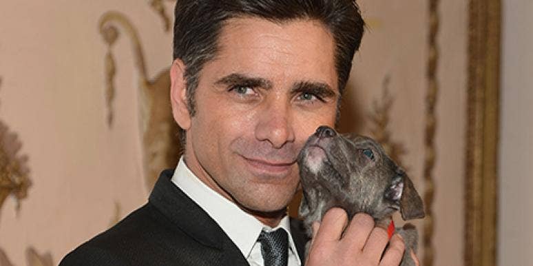 John Stamos John Stamos