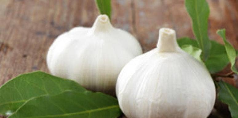 two garlic heads
