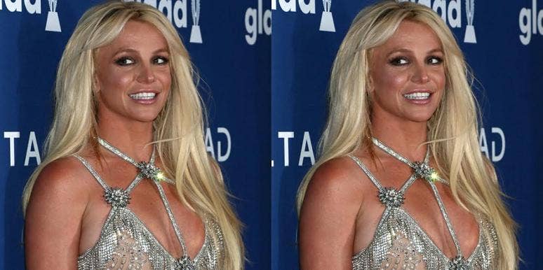 Who Is Britney Spears' Conservator, Jodi Montgomery? Who Is Britney Spears' Conservator, Jodi Montgomery?
