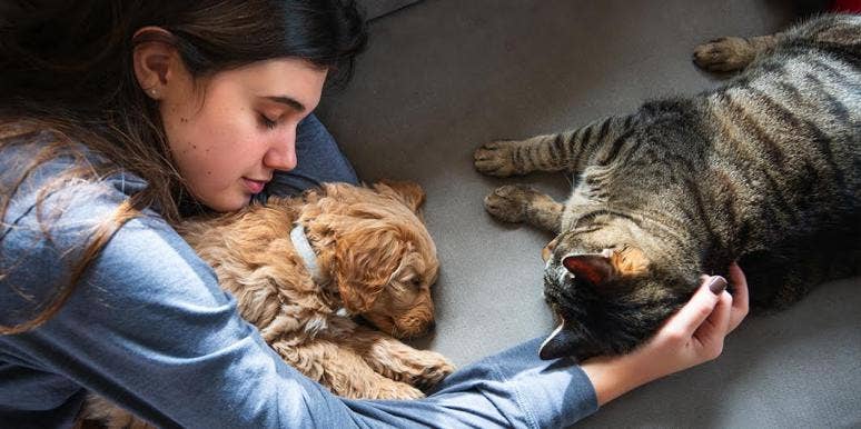 Can Dogs And Cats Get Coronavirus (COVID-19?) Can Dogs And Cats Get Coronavirus (COVID-19?)