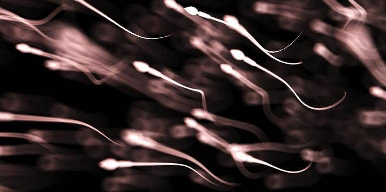 Can You Get Coronavirus (COVID-19) Through Semen? Inside The New Research Can You Get Coronavirus (COVID-19) Through Semen? Inside The New Research