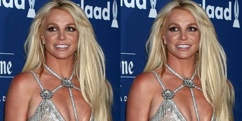 Does Britney Spears Have Custody Of Her Kids?