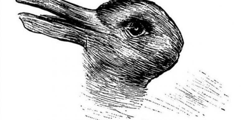 What You See In This Photo Reveals How Creative And Innovative You Are photo of black and white rabbit or duck