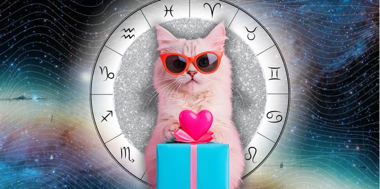 universe special gift zodiac signs October 30 2025