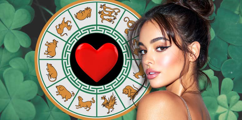 chinese zodiac signs luck love November 26 2025