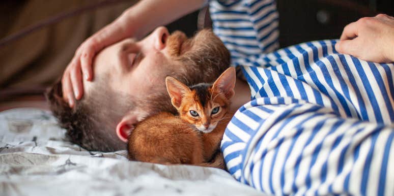 How Cats Protect From Evil Spirits & Negative Energy, Based On The Color Of Their Fur