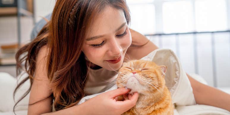 Science Says Orange Cats Are Extra Special In These 5 Ways