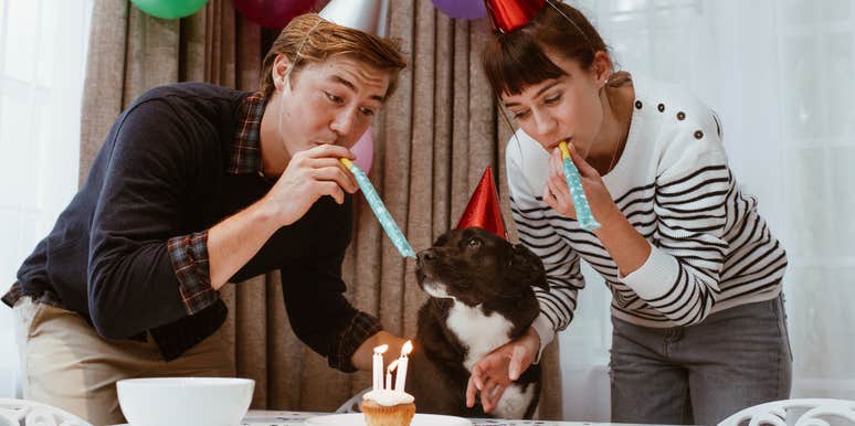 dogs age human years updated scientific equation