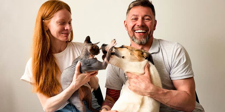 significant personality differences dog cat people