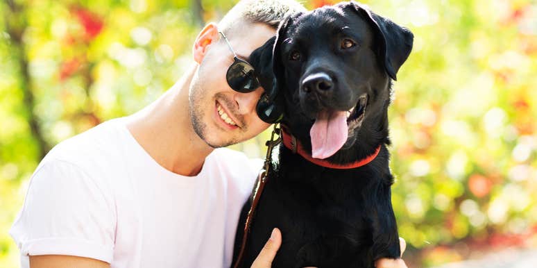 behaviors tell dog owner loves them