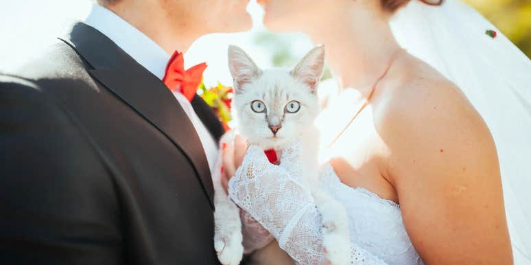 A bride in her wedding dress holding a small cat during her ceremony, illustrating the heartwarming moment a stray kitten crashed a wedding and found a forever home.