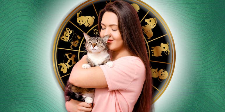 chinese zodiac signs everything falls place June 7 2026