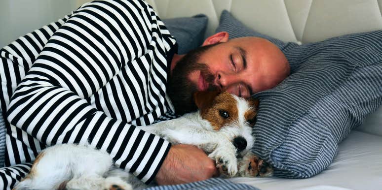 intelligent man sleeping dreaming
