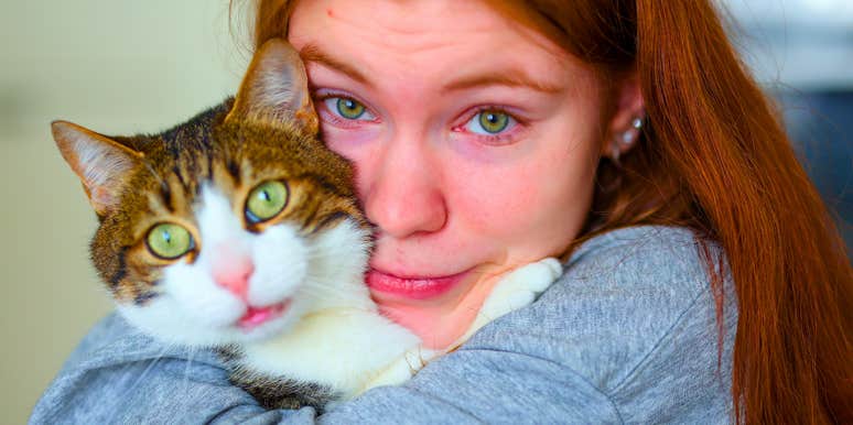 Gen Z, Millennials, Gen X And Boomers Have Different Ideas Of How To Treat A Cat