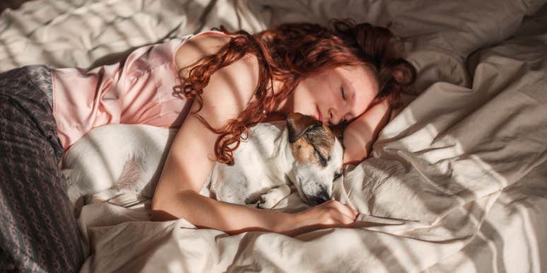 where dog sleeps night shows what mean to them