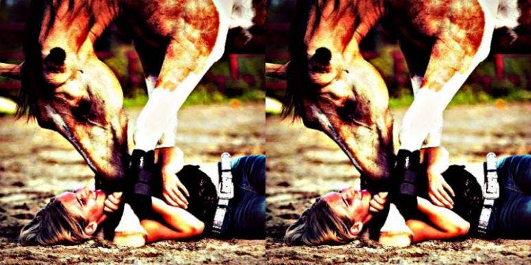 Into Sex With Animals? Head To Germany Into Sex With Animals? Head To Germany