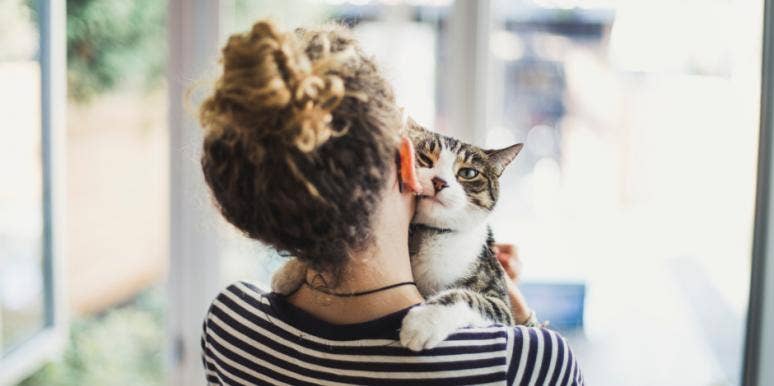 11 Things Cats Teach Us About Loving Someone (Told In GIfs)