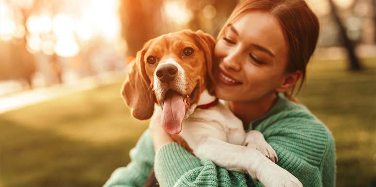 3 Ingredients That Could Silently Be Making Your Dog Feel Sick