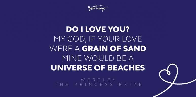 westley the princess bride movie quote
