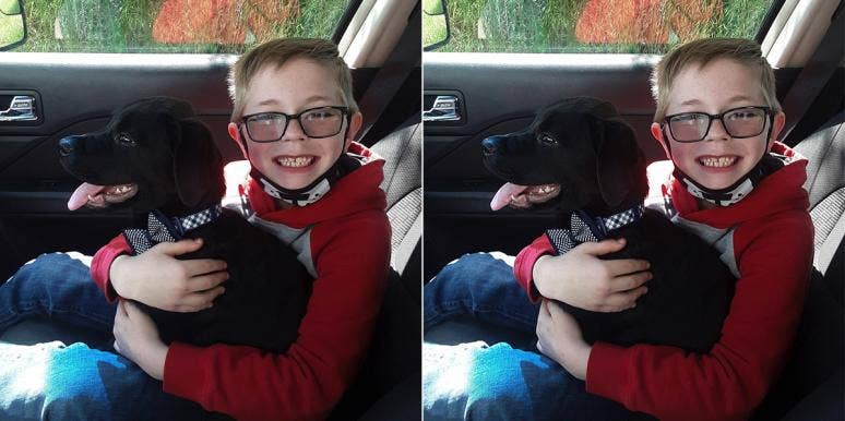 Eight-Year-Old Bryson Kliemann Sold His Pokémon Cards To Raise Money To Save His Sick Puppy