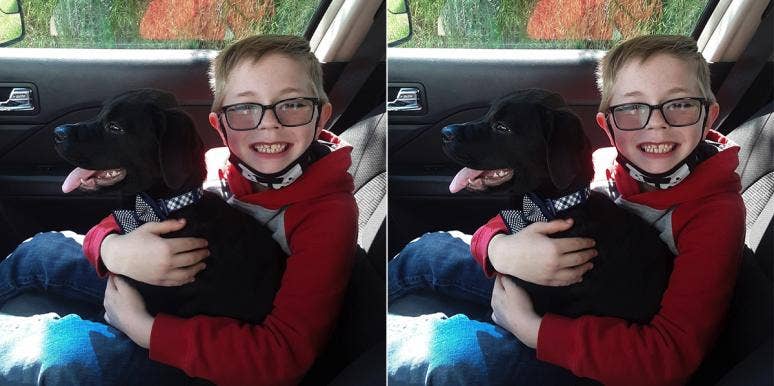 Eight-Year-Old Bryson Kliemann Sold His Pokémon Cards To Raise Money To Save His Sick Puppy Eight-Year-Old Bryson Kliemann Sold His Pokémon Cards To Raise Money To Save His Sick Puppy