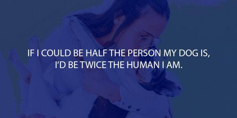 50 Best Dog Quotes For Animal Lovers 50 Best Dog Quotes For Animal Lovers