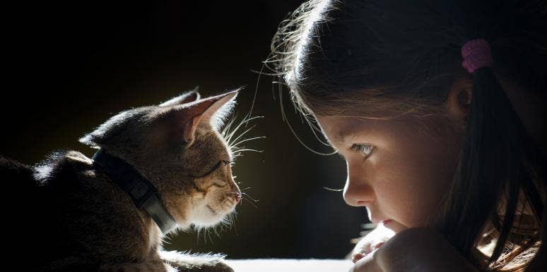 little girl and a cat little girl and a cat