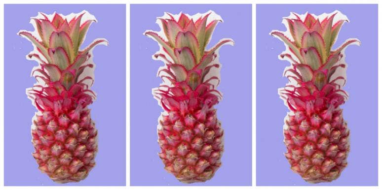 Stop Everything! Rosé Pineapples Are HERE And Instagram-Ready Stop Everything! Rosé Pineapples Are HERE And Instagram-Ready