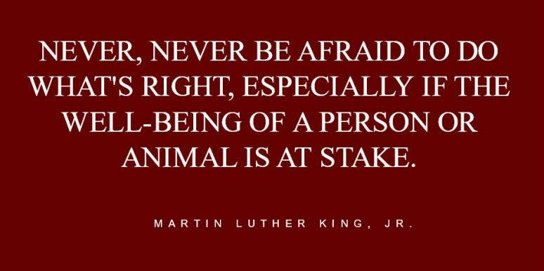 10 Animal Love Quotes From Celebrities Who Love Their Dogs, Cats, And Furry Friends | Paul Aitken | YourTango 10 Animal Love Quotes From Celebrities Who Love Their Dogs, Cats, And Furry Friends | Paul Aitken | YourTango