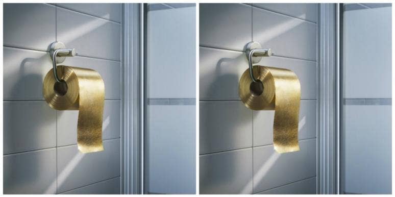 toilet paper vagina toilet paper vagina