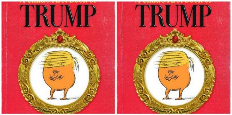 donald trump kid's book A Child's First Book Of Trump' Is A Book Kids Need To Read