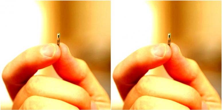 microchip microchip