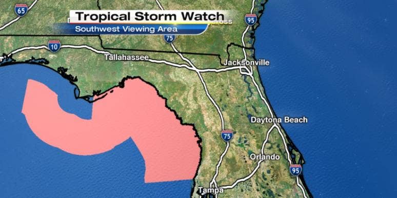 Florida's Penis-Shaped Storm Looks Like LONG, HARD Weather! Florida's Penis Hermine Storm Looks Like LONG, HARD Weather!
