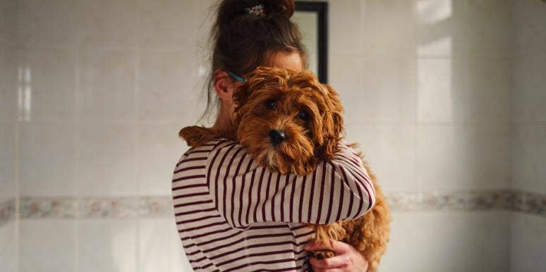 Should I Get A Dog? 7 Tests That Reveal Your Capability As A Pet Parent Should I Get A Dog? 7 Tests That Reveal Your Capability As A Pet Parent