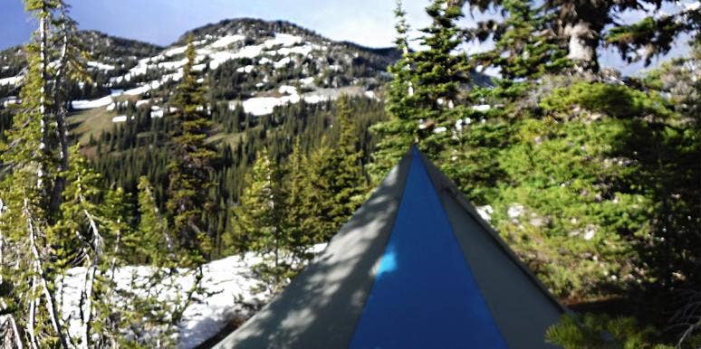 pitched tent in a snowy pine forest pitched tent in a snowy pine forest