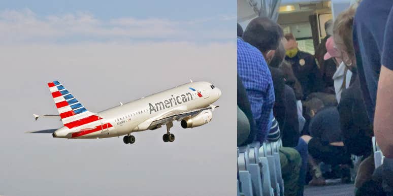 American Airlines plane, passenger being restrained
