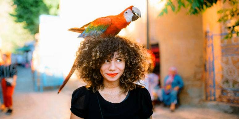 What Animal You Are Based On Your Zodiac Sign & Astrology What Animal You Are Based On Your Zodiac Sign & Astrology