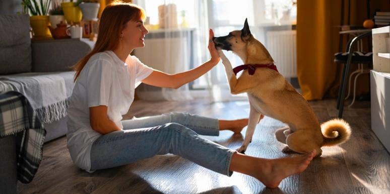woman high five-ing a dog