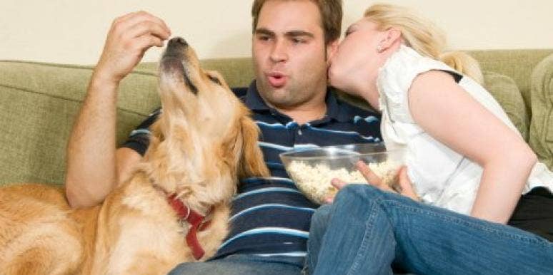 GIFs: Animals Who Are The Third Wheel GIFs: Animals Who Are The Third Wheel