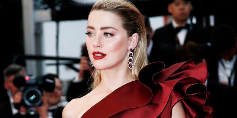 The Assassination Of Amber Heard amber heard