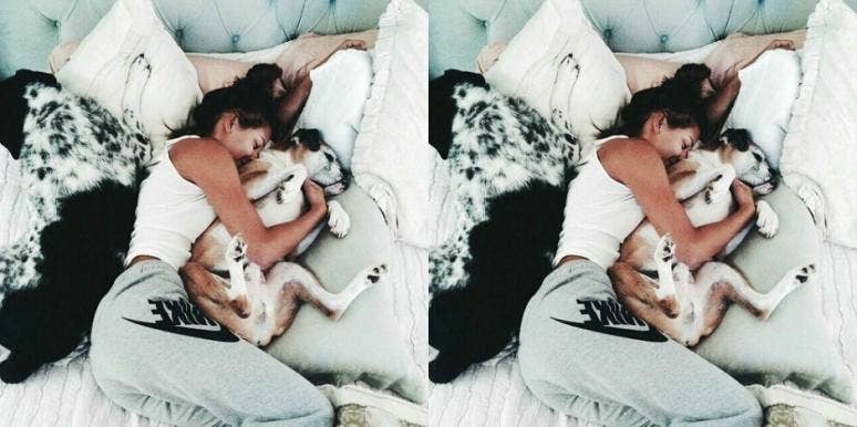 sleeping next to dog sleeping next to dog