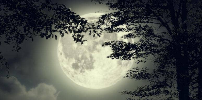 What Is A Black Moon? Next Dates & Spiritual Meanings moon behind black trees and clouds