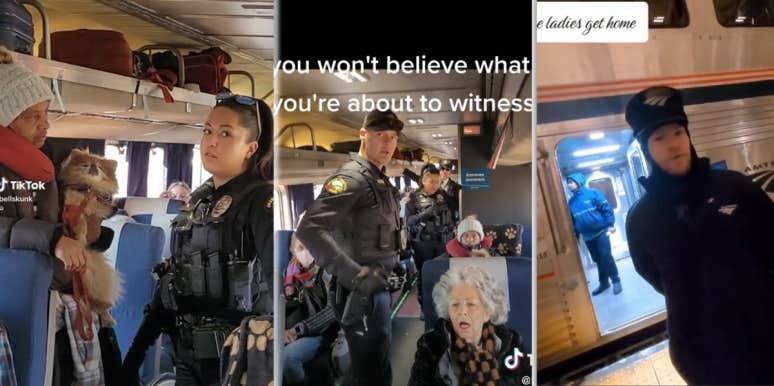 Cops kicking black women off train
