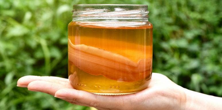How to Brew KomBucha in 4 Simple Steps How to Brew KomBucha in 4 Simple Steps