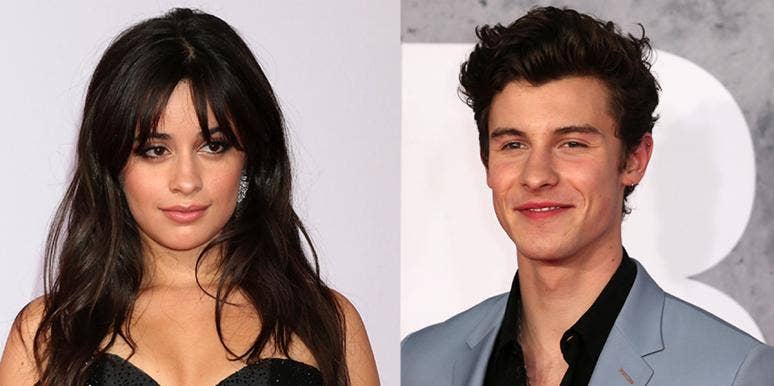 Why Did Shawn Mendes And Camila Cabello Break Up? Camila Cabello and Shawn Mendes