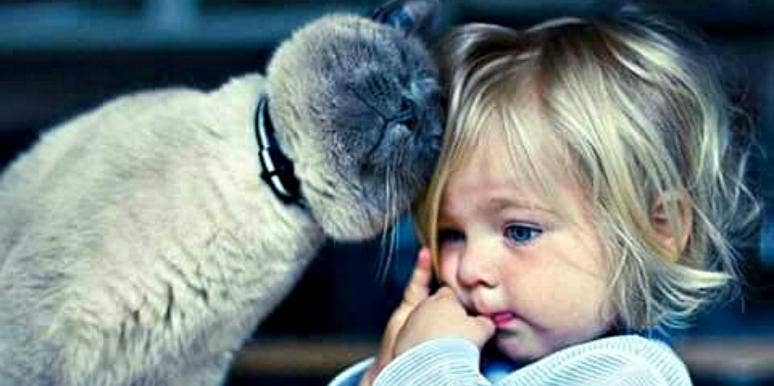 babysitting pets yourtango