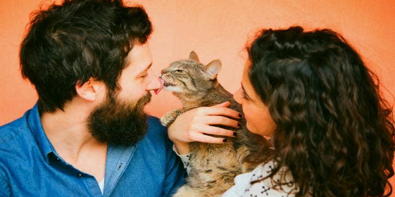 20 Best Cat Gifts For The Cat Lover In Your Life 2020 20 Best Cat Gifts For The Cat Lover In Your Life 2020